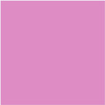 ROSA FRAPE