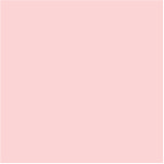 ROSA SHELL