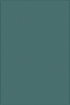VERDE BOSQUE