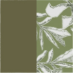 VERDE COLIBRI C/EST . BEGONIA I24
