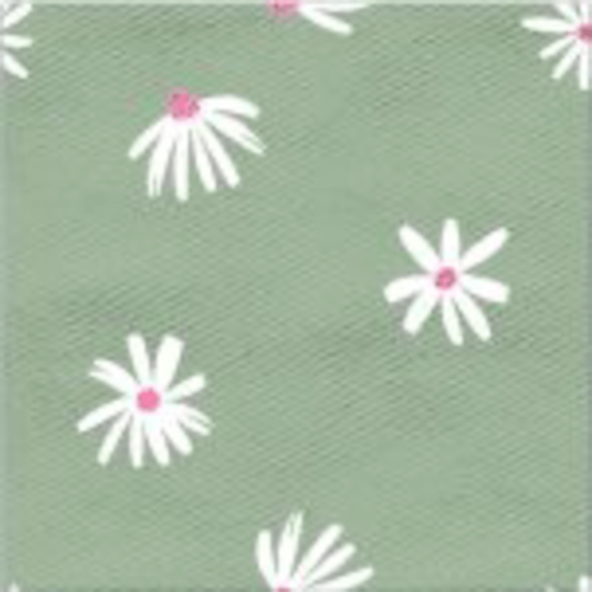 EST. POA DE FLORES BI25