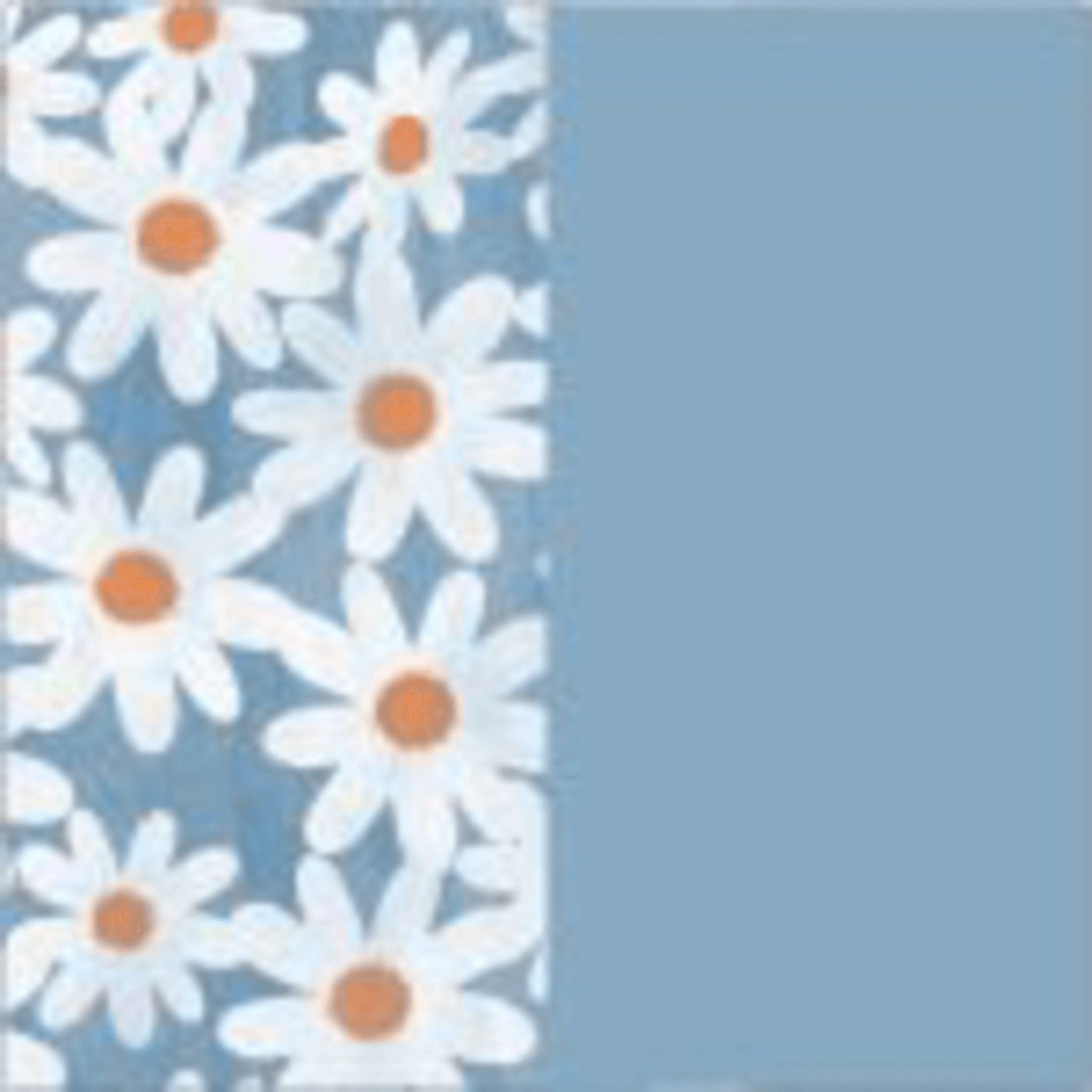 EST. BEM-ME-QUERO BI25 C/AZUL CALM