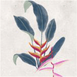 EST. HELICONIAS I25