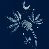 EST. PEQUENAS ALEGRIAS BV26