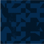 EST. GEOMETRIC  BV26