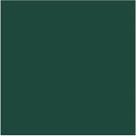 PTO C/ EST. ANIMAL CHIC V25