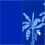AZUL COSMIC C/EST. MUSA V27