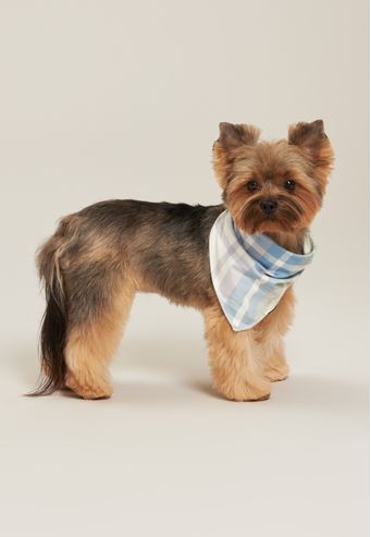 Bandana Baunilha Petjama de New Skin