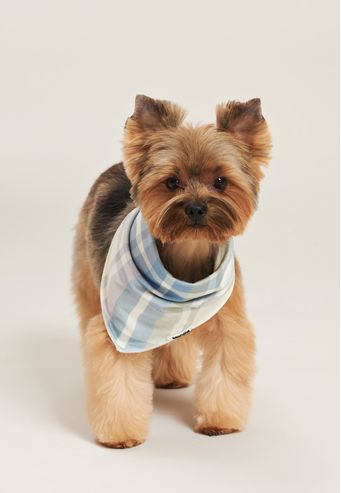 Bandana Baunilha Petjama de New Skin